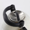 Whistling Tea Kettle Stainless Steel 3.0L Economic Kettle With Color Painting
