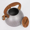 Stainless Steel Water Tea Pot 2.7L Whistling Tea Kettle With Color Painting