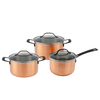 Black Handle Copper Triply Stainless Steel Casserole Pot Glass Lid 16/20/24cm Classic Kitchen Cooking Saucepan