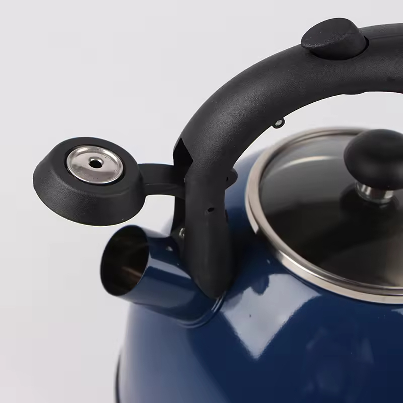 Stainless Steel Whistling Tea Kettle With Glass Lid