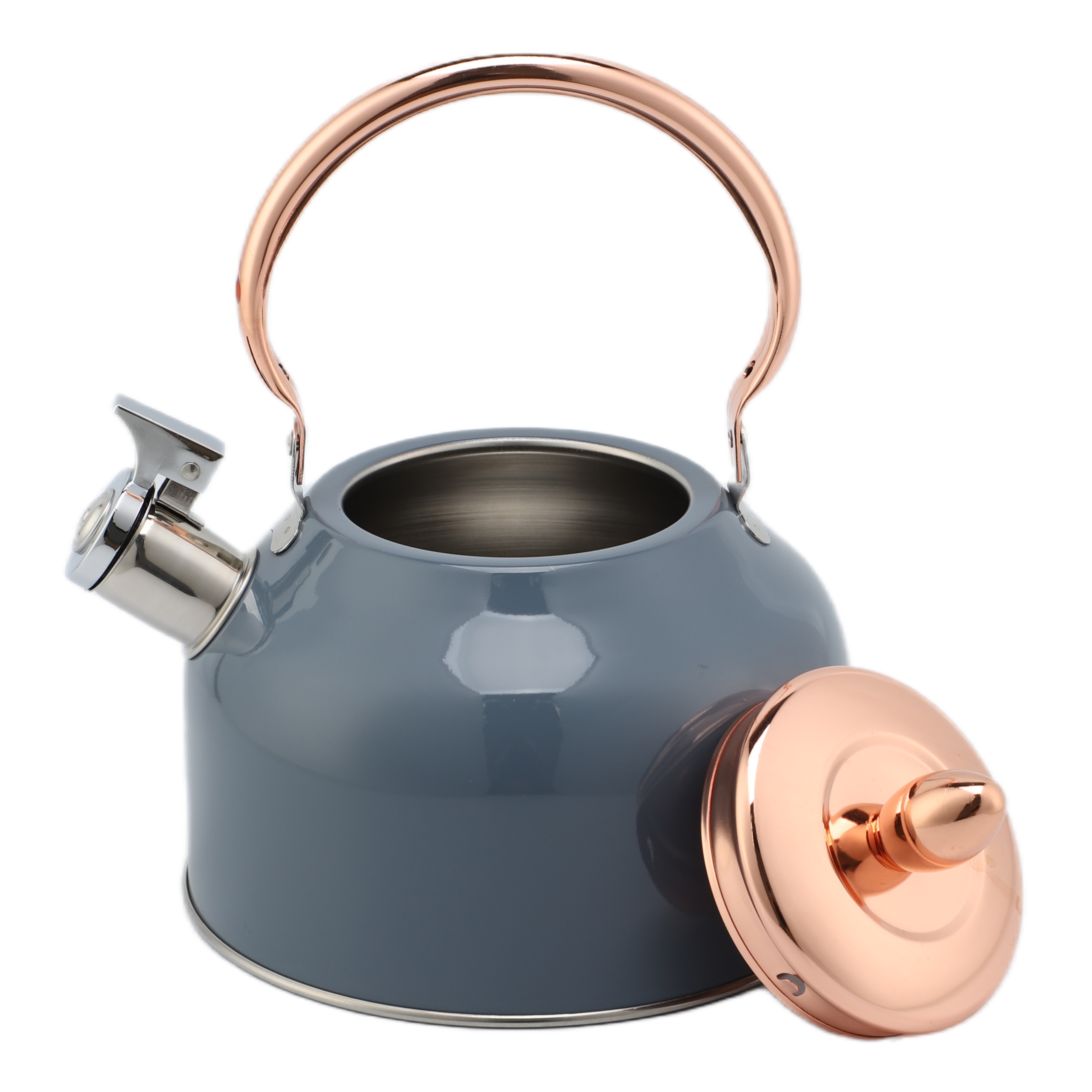 Factory Wholesale 2.5L Whistling Kettle Tea Pot Customized Color Stainless Steel Hot Water Teapot for ALL Stovetop