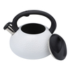 Factory Wholesale 3.0L Whistling Tea Kettle Tea Pot Customized Color Stainless Steel Hot Water for ALL Stovetop