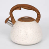 Stainless Steel Water Tea Pot 2.7L Whistling Tea Kettle With Color Painting