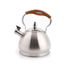 Stainless Steel Whistling Tea Kettle for Stovetop With Cool Ergonomic Handle