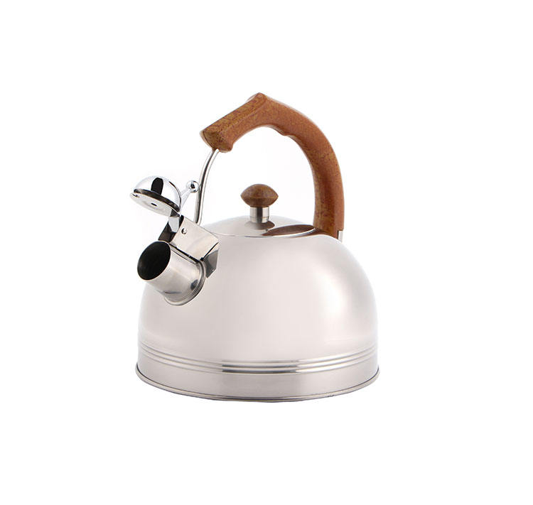 Stainless Steel Whistling Tea Kettle for Stovetop With Cool Ergonomic Handle