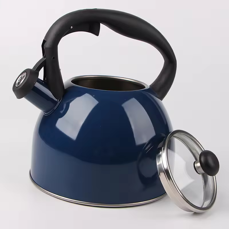 Stainless Steel Whistling Tea Kettle With Glass Lid