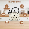 Factory Wholesale 2.5L Whistling Tea Kettle Pot Polka Dot Cream/Ivory Color Stainless Steel Hot Water Teapot for ALL Stovetop