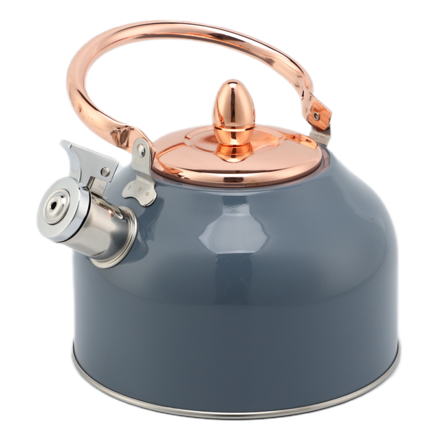 Factory Wholesale 2.5L Whistling Kettle Tea Pot Customized Color Stainless Steel Hot Water Teapot for ALL Stovetop