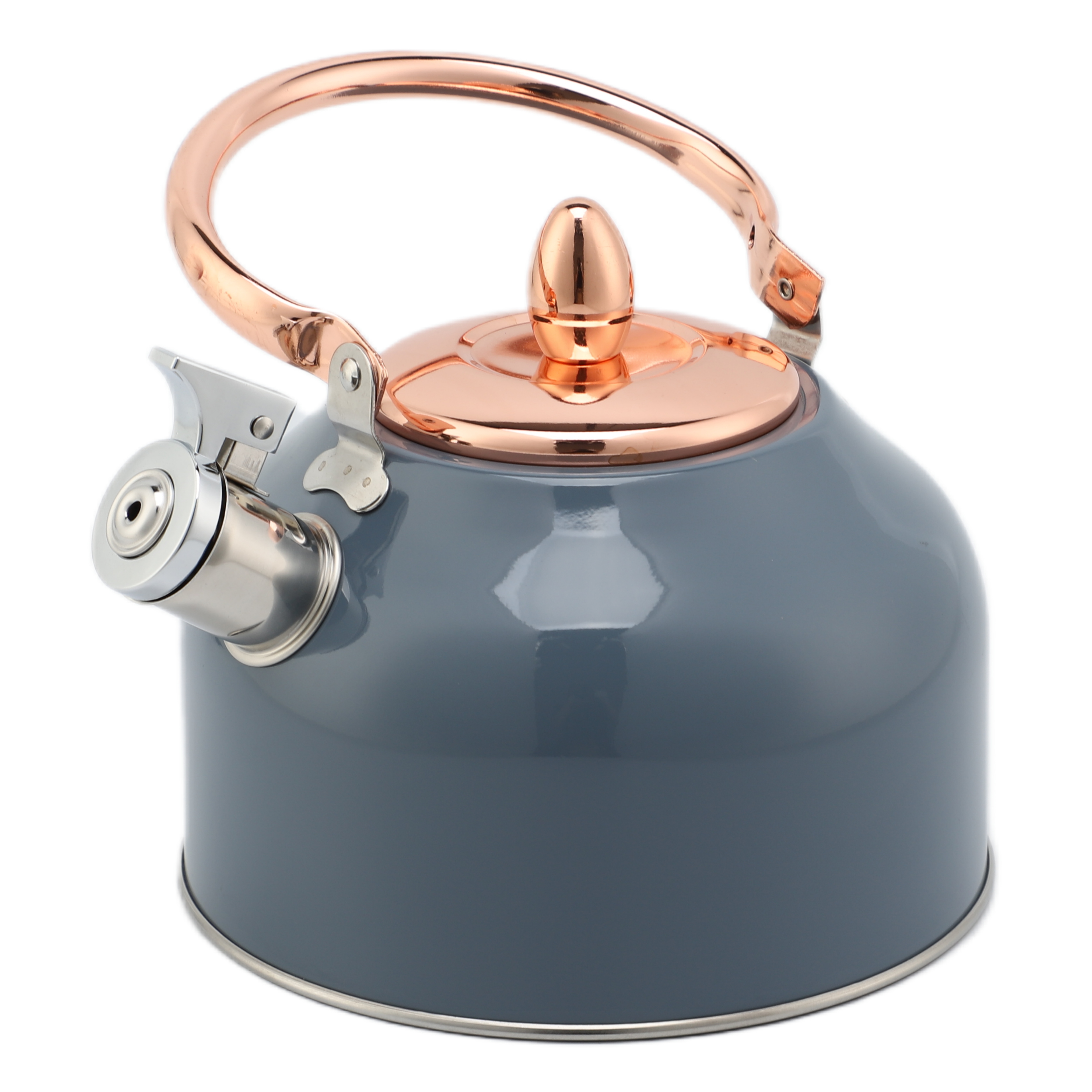 Factory Wholesale 2.5L Whistling Kettle Tea Pot Customized Color Stainless Steel Hot Water Teapot for ALL Stovetop