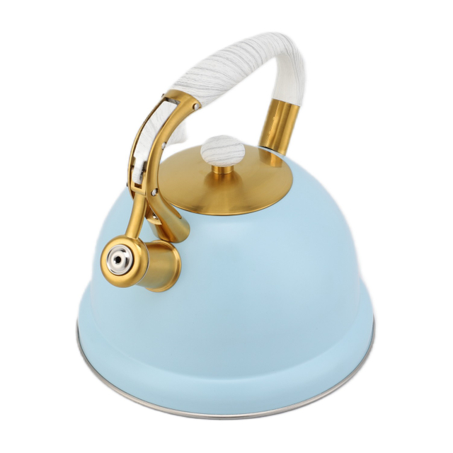 Factory Wholesale 3L Whistling Tea Kettle Tea Pot Customized Color Stainless Steel Hot Water for ALL Stovetop