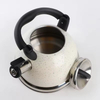 Whistling Tea Kettle Stainless Steel 3.0L Economic Kettle With Color Painting