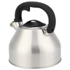 Modern 3L Stainless Steel Whistling Kettle Tea Teapot with Plastic Handle Home Kitchen Induction Stove Top Metal Construction