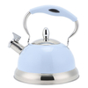 Factory Wholesale 2.5 L Whistling Tea Kettle Tea Pot Customized Color Stainless Steel Hot Water Teapot for ALL Stovetop