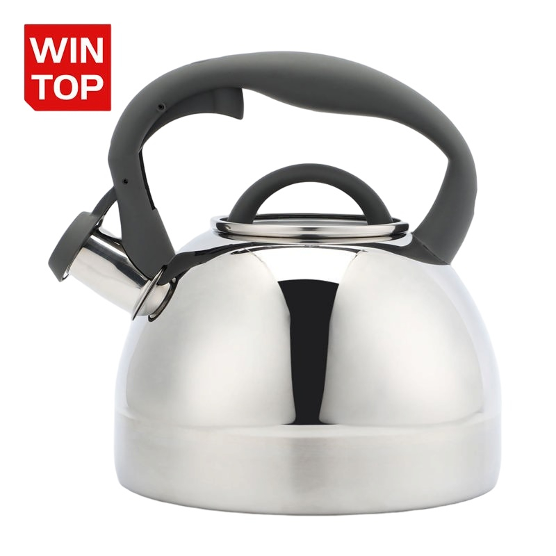 2.7L Hot Selling Camping Water Stove Top Stainless Steel Whistling Tea Kettle