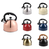 Stainless Steel Whistling Tea Kettle With Glass Lid