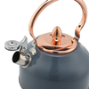 Factory Wholesale 2.5L Whistling Kettle Tea Pot Customized Color Stainless Steel Hot Water Teapot for ALL Stovetop