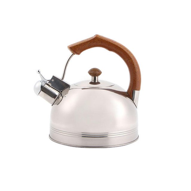 Stainless Steel Whistling Tea Kettle for Stovetop With Cool Ergonomic Handle