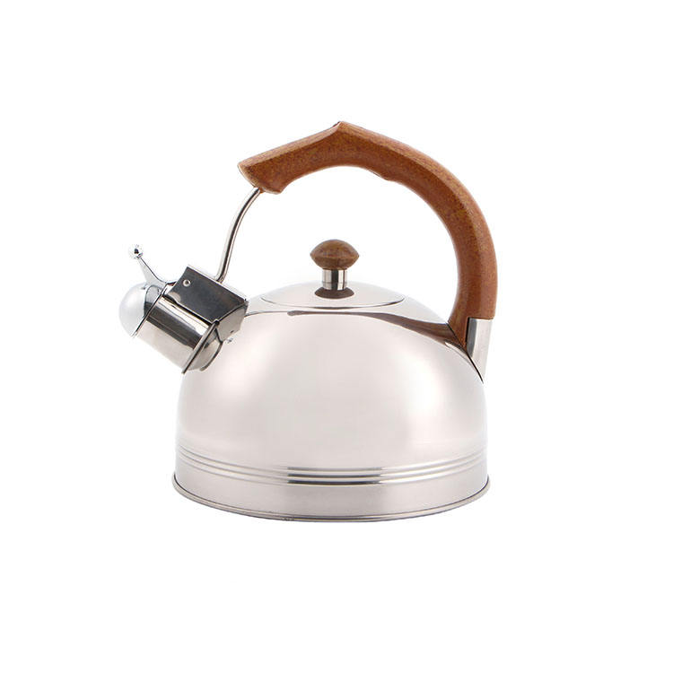 Stainless Steel Whistling Tea Kettle for Stovetop With Cool Ergonomic Handle