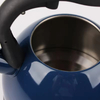 Stainless Steel Whistling Tea Kettle With Glass Lid