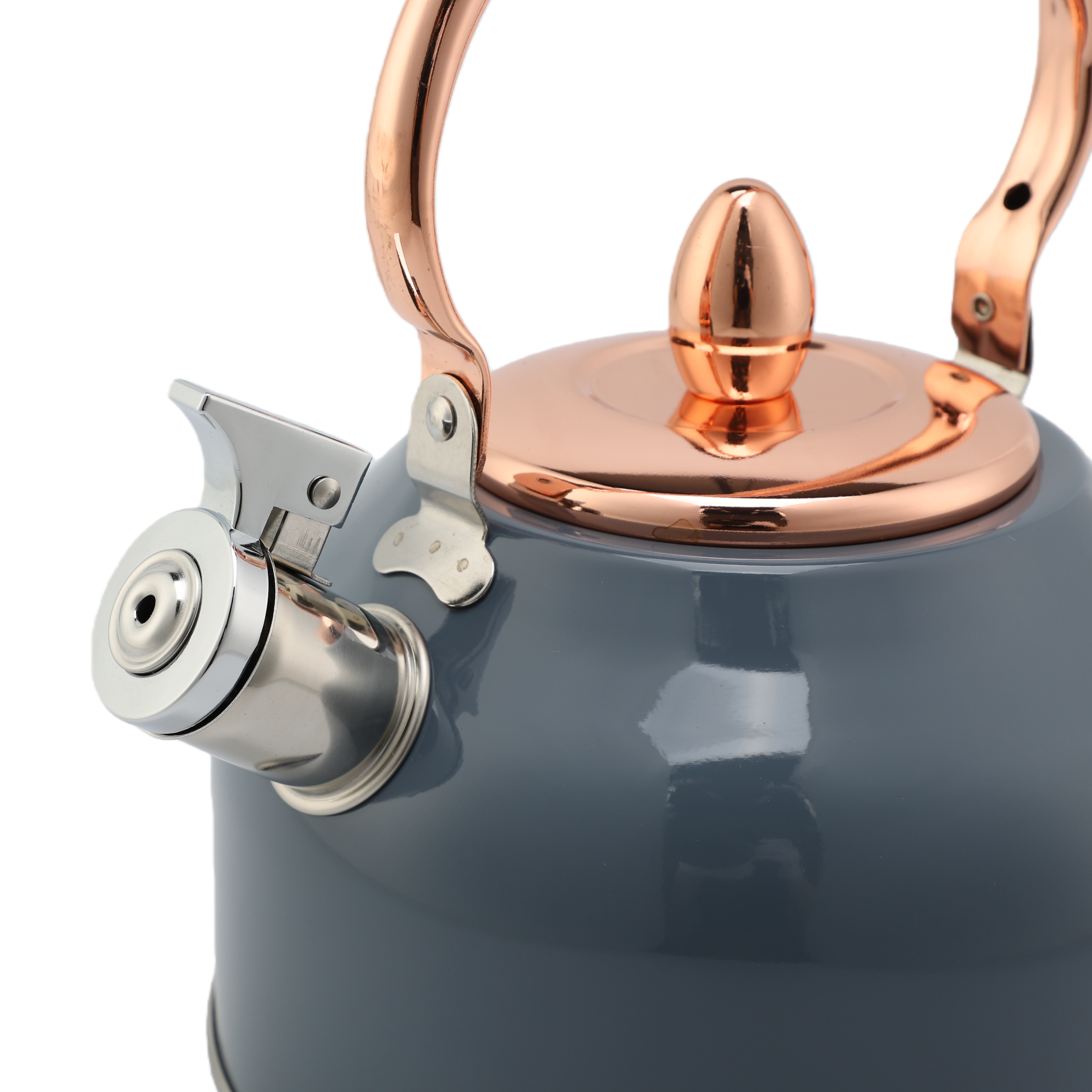 Factory Wholesale 2.5L Whistling Kettle Tea Pot Customized Color Stainless Steel Hot Water Teapot for ALL Stovetop