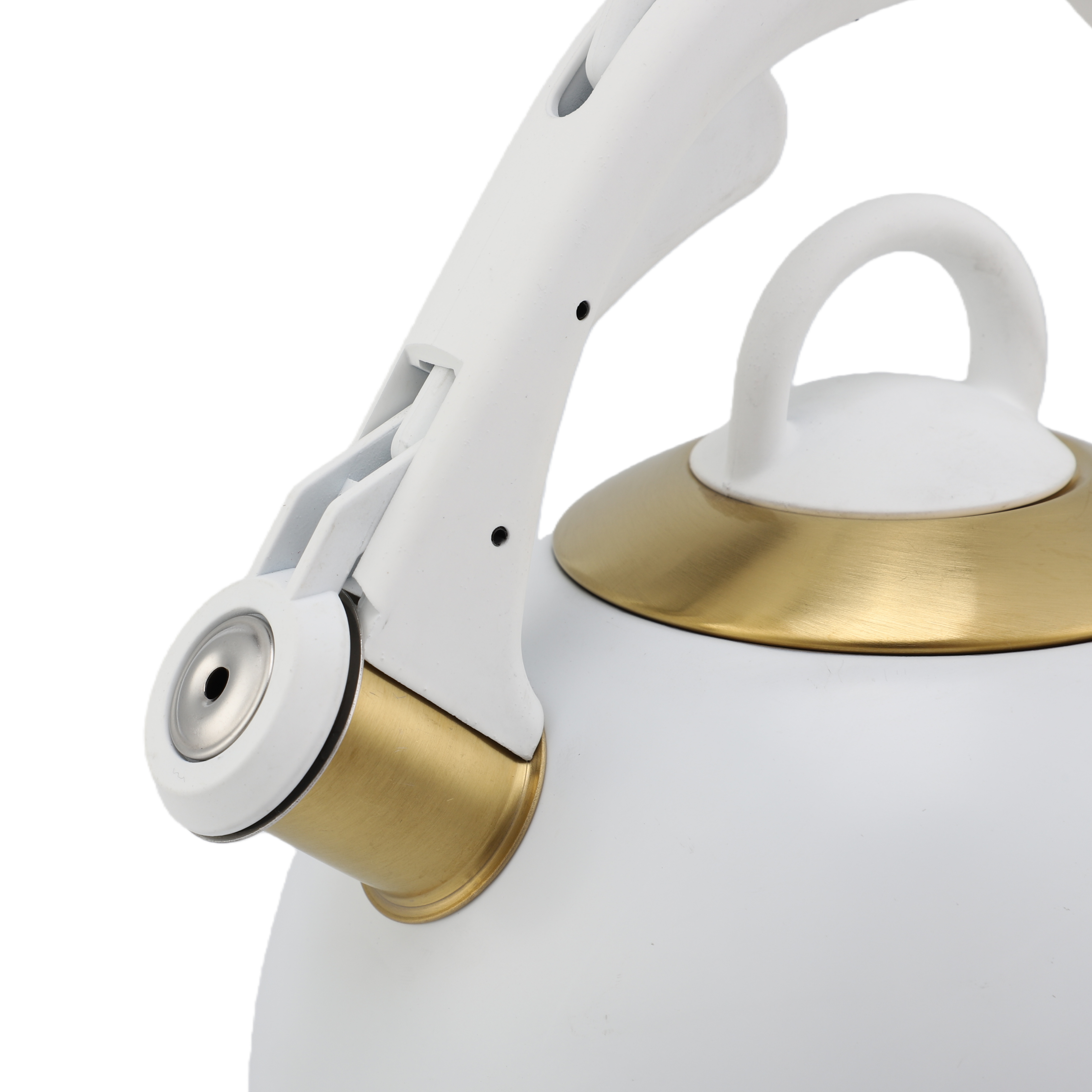 Factory Wholesale 3L Whistling Tea Kettle Tea Pot Customized Color Stainless Steel Hot Water for ALL Stovetop with Wood Handle