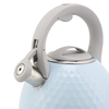 Factory Wholesale 2.7L Whistling Tea Kettle Tea Pot Customized Color Stainless Steel Hot Water for ALL Stovetop