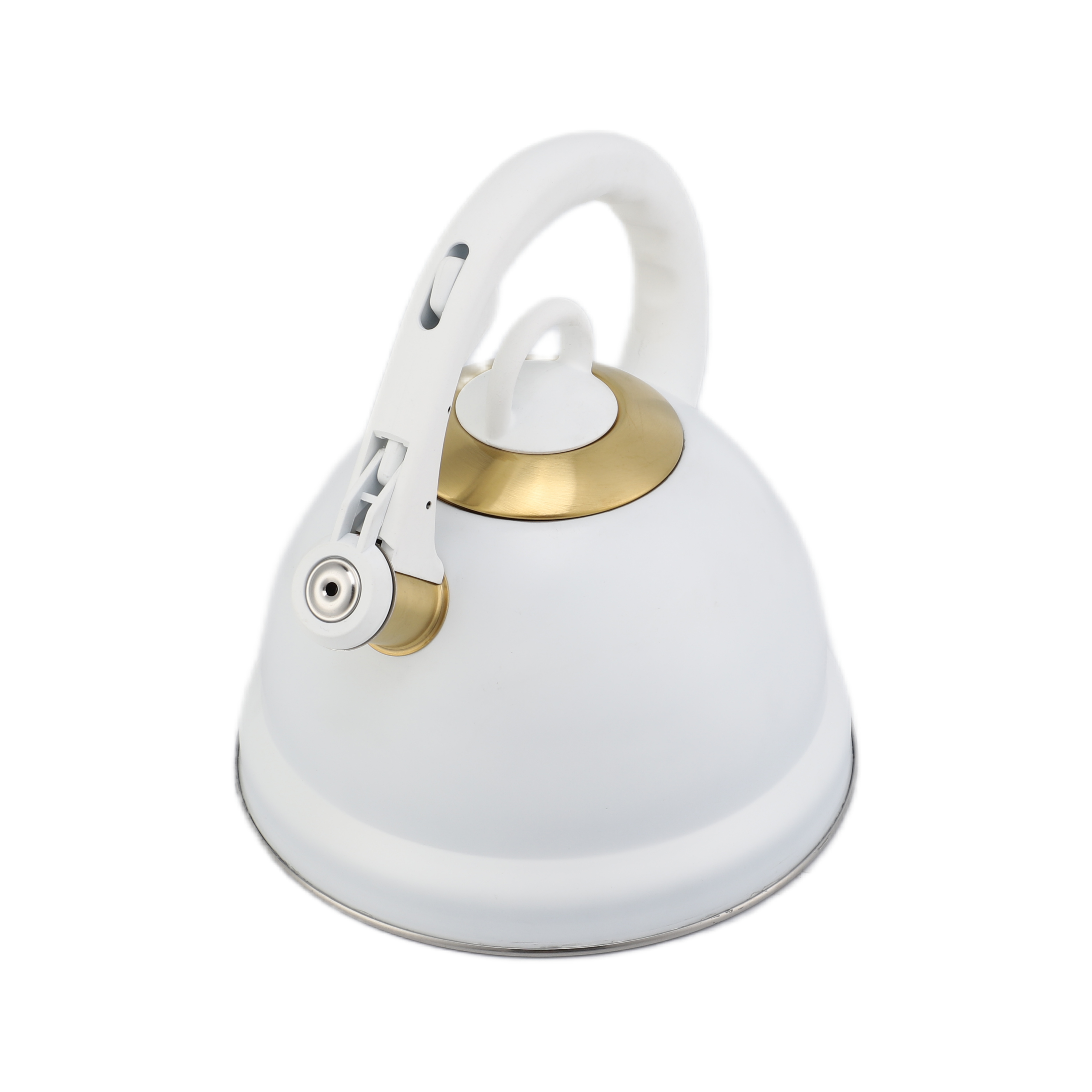 Factory Wholesale 3L Whistling Tea Kettle Tea Pot Customized Color Stainless Steel Hot Water for ALL Stovetop with Wood Handle