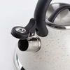 Whistling Tea Kettle Stainless Steel 3.0L Economic Kettle With Color Painting