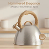 Factory Wholesale 3L Whistling Tea Kettle Hammered Tea Pot Customized Color Stainless Steel Hot Water Teapot for ALL Stovetop