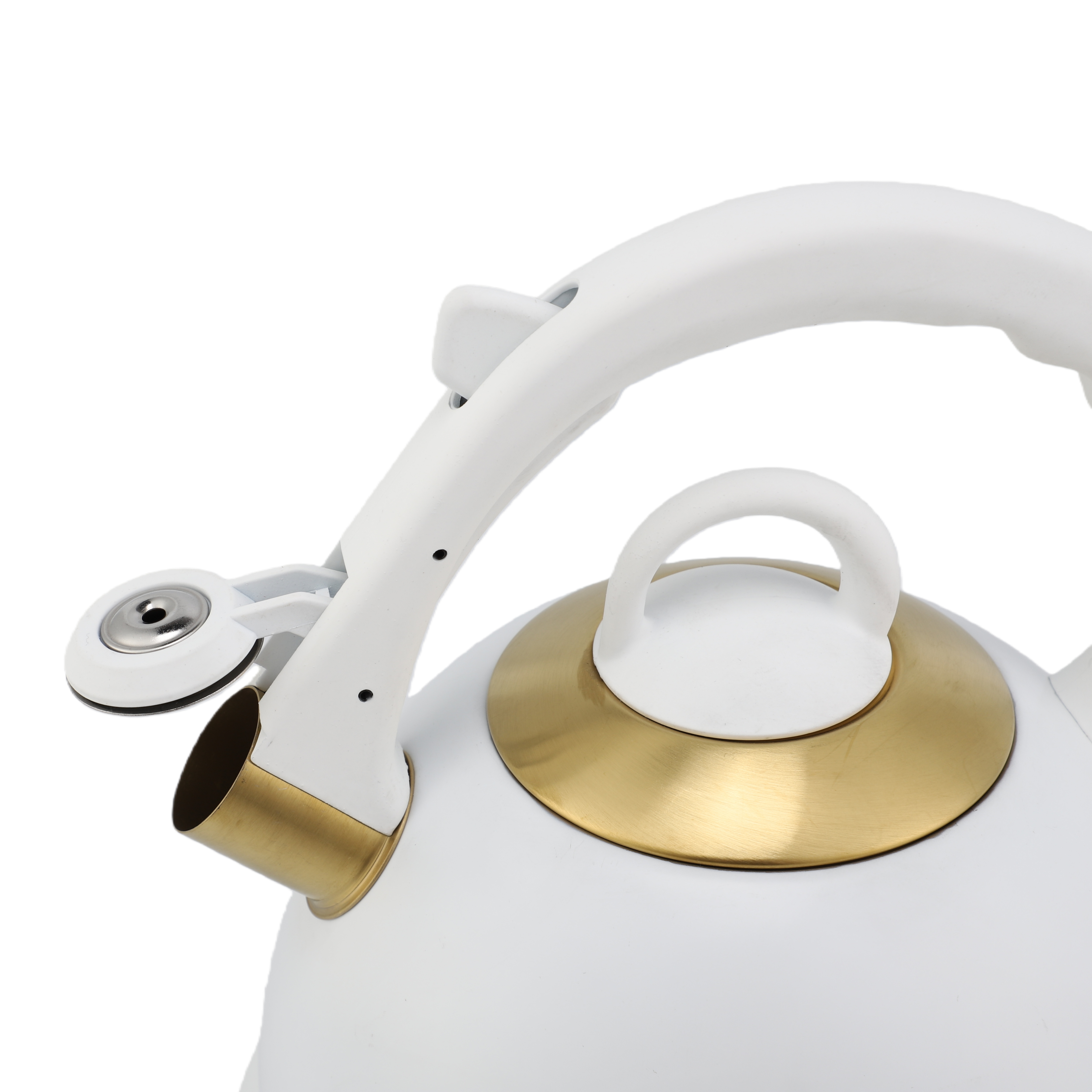 Factory Wholesale 3L Whistling Tea Kettle Tea Pot Customized Color Stainless Steel Hot Water for ALL Stovetop with Wood Handle